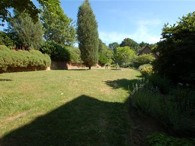 Picture 24